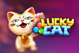 Funky : Lucky Cat - STONEBET88